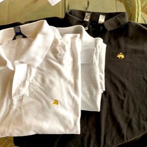 Three Brooks Brothers 100% cotton shirts.  Good but not dress up quality.